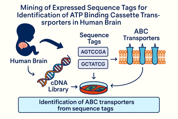 Designer - 2025-10-13T182615.769