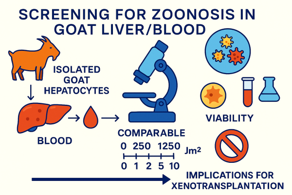 Designer - 2025-10-13T224540.673