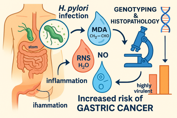 Designer - 2025-10-14T021840.903