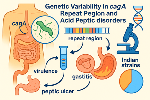 Designer - 2025-10-14T022629.347