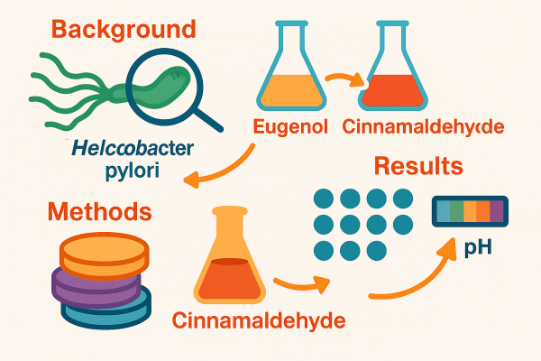 Designer - 2025-10-14T052824.611