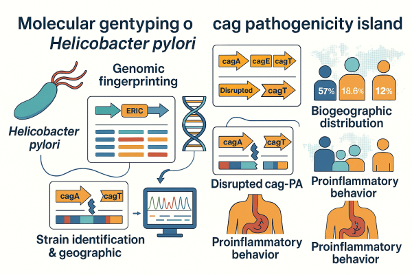 Designer - 2025-10-14T125956.603