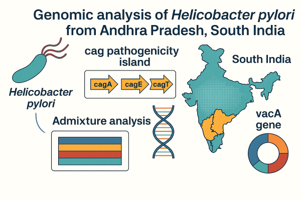 Designer - 2025-10-14T130516.062