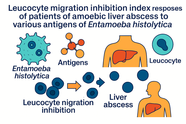 Designer - 2025-10-14T160009.646