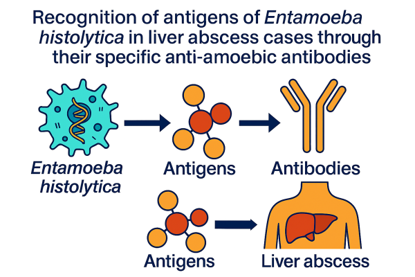 Designer - 2025-10-14T162048.211