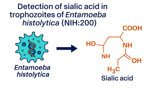 Designer - 2025-10-14T163250.114