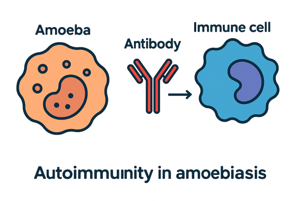 Designer - 2025-10-14T165407.607