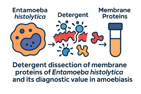 Designer - 2025-10-14T172914.577