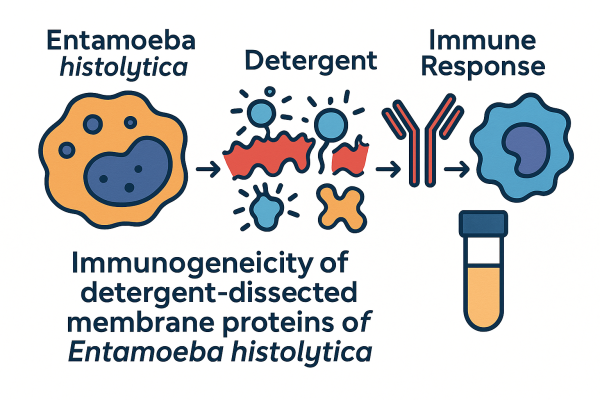 Designer - 2025-10-14T173830.977