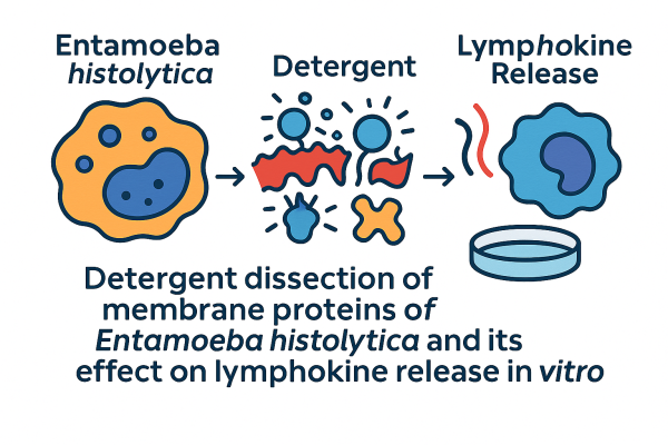 Designer - 2025-10-14T174349.548