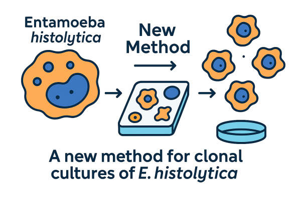 Designer - 2025-10-14T174958.722