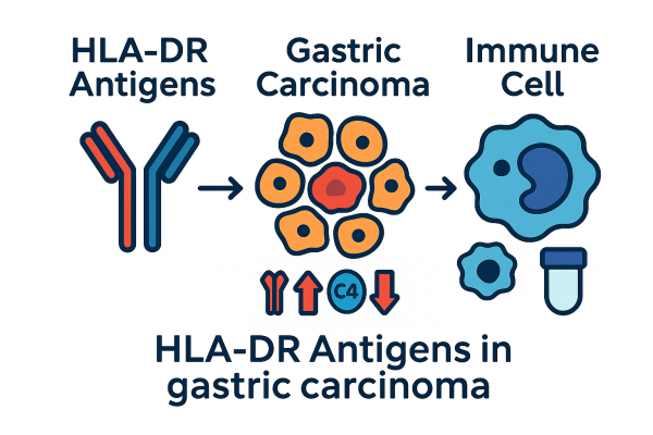 Designer - 2025-10-14T180254.424