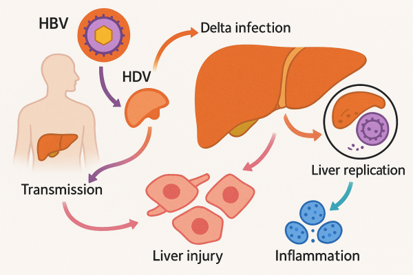 Designer - 2025-10-14T201641.661