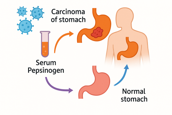 Designer - 2025-10-14T202543.992