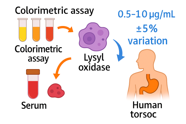 Designer - 2025-10-14T212756.659