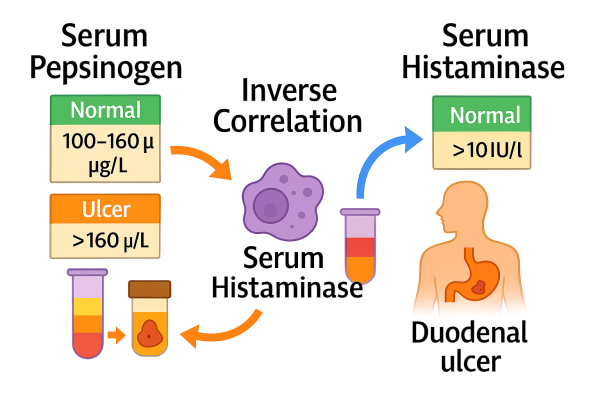 Designer - 2025-10-14T214212.088