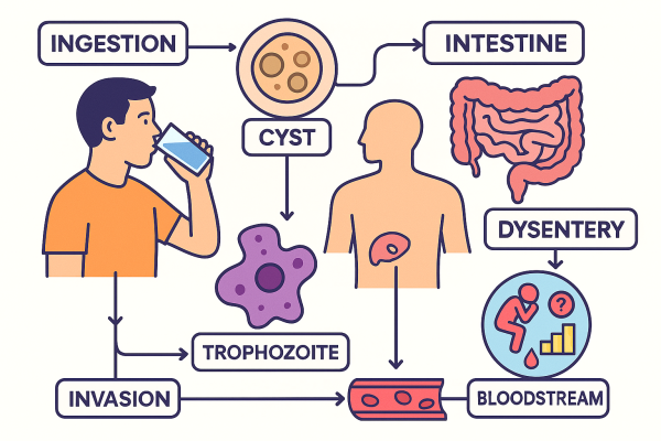 Designer - 2025-10-14T220511.965