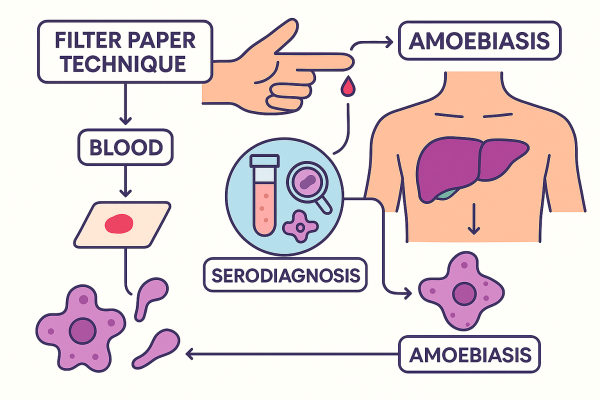 Designer - 2025-10-14T223035.170