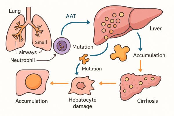 Designer - 2025-10-14T225013.369