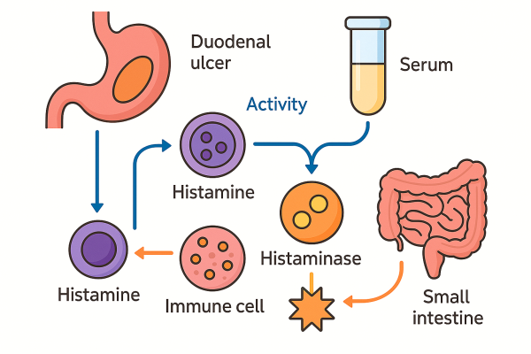 Designer - 2025-10-14T225445.546