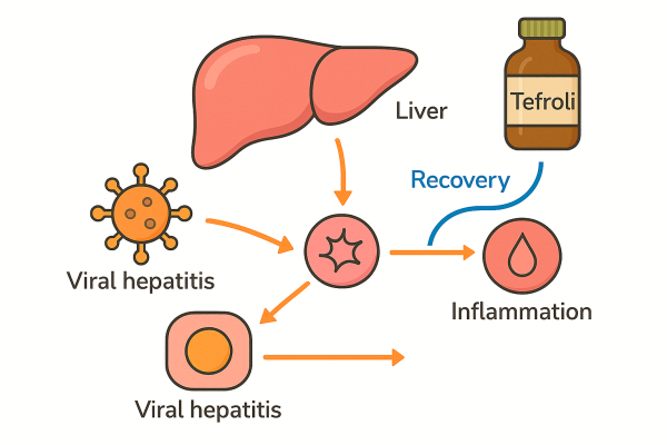 Designer - 2025-10-14T225954.054