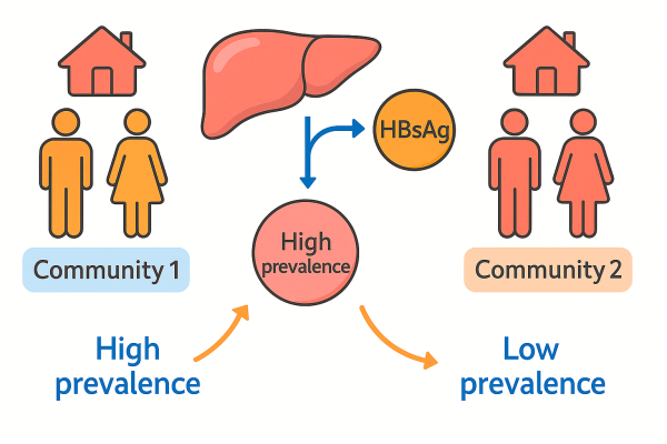 Designer - 2025-10-14T230434.189