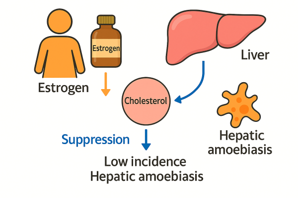 Designer - 2025-10-14T232743.729