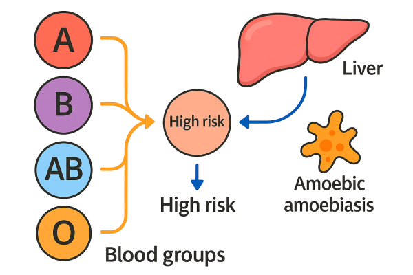 Designer - 2025-10-15T082902.426