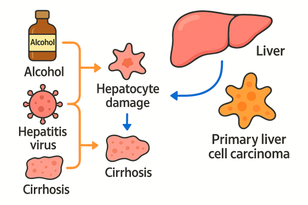 Designer - 2025-10-15T083301.784