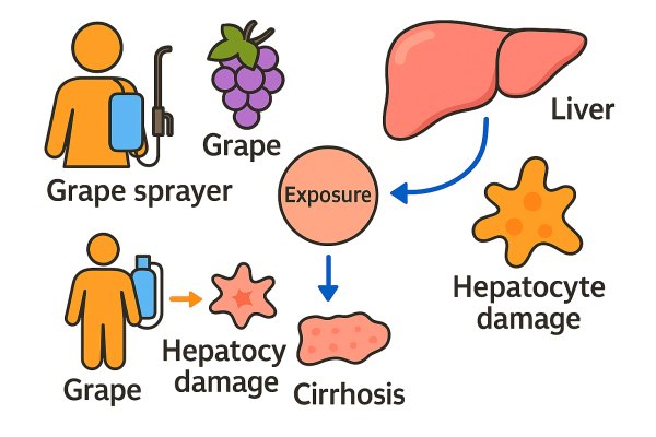 Designer - 2025-10-15T083654.239