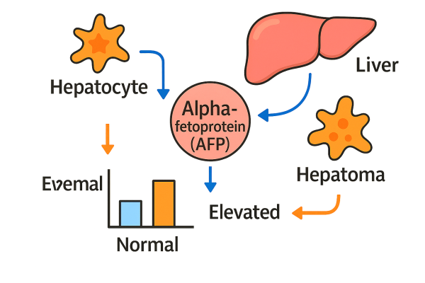 Designer - 2025-10-15T084516.335