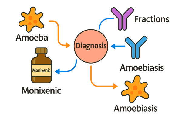 Designer - 2025-10-15T084914.476