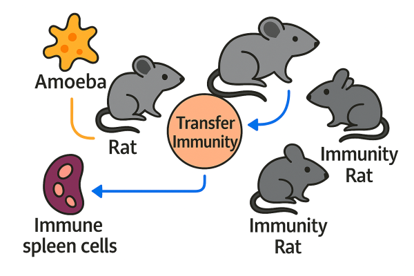 Designer - 2025-10-15T090359.523