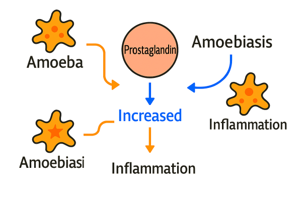 Designer - 2025-10-15T094303.114