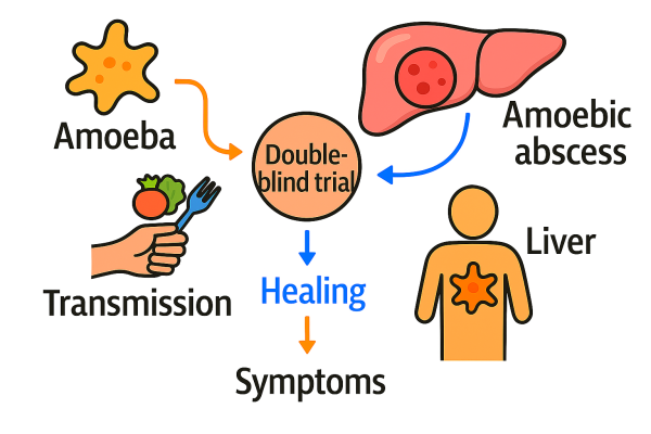 Designer - 2025-10-15T095720.701