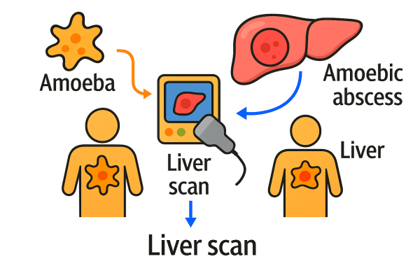 Designer - 2025-10-15T100142.830