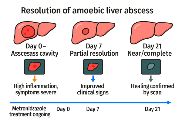 Designer - 2025-10-15T101032.104